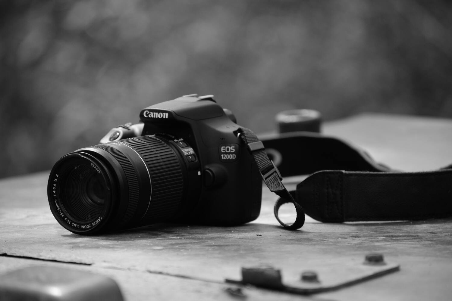Photography - Cameras